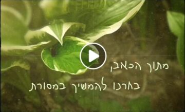מתוך הכאב בחרנו להמשיך בחסורת