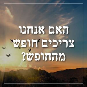 האם אנחנו צריכים חופש מהחופש