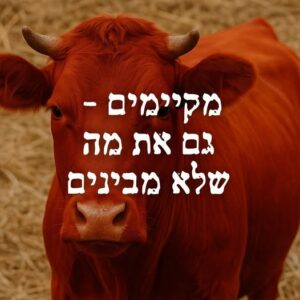 מקיימים גם את מה שלא מבינים