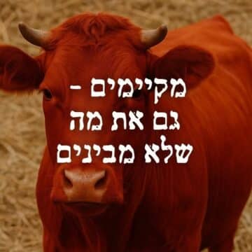 מקיימים גם את מה שלא מבינים