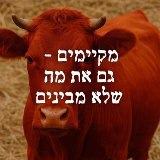 מקיימים גם את מה שלא מבינים