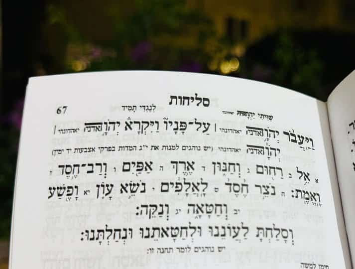 יג מידות