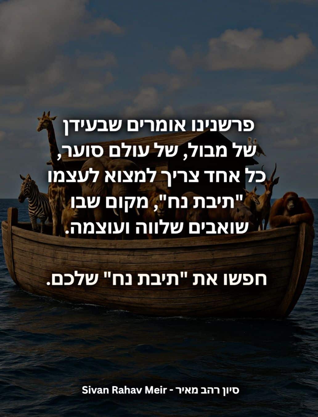 חפשו את תיבת נח שלכם