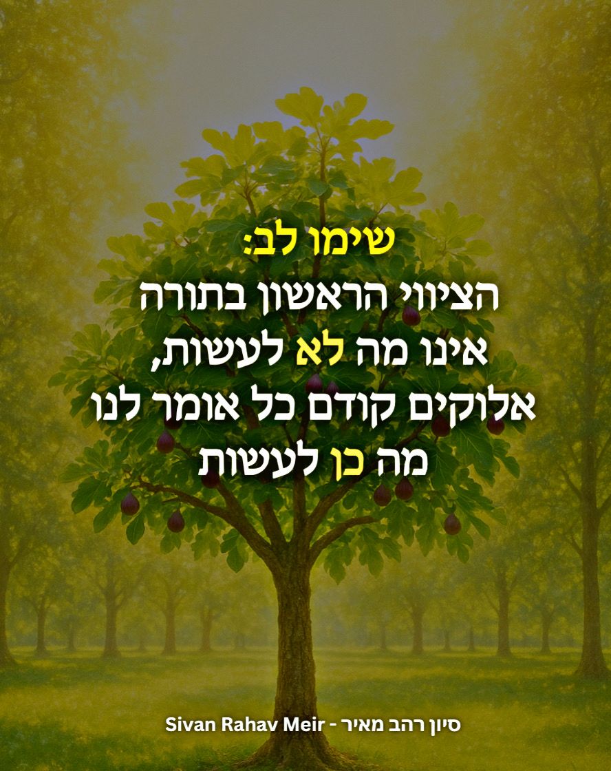 הציווי הראשון בתורה