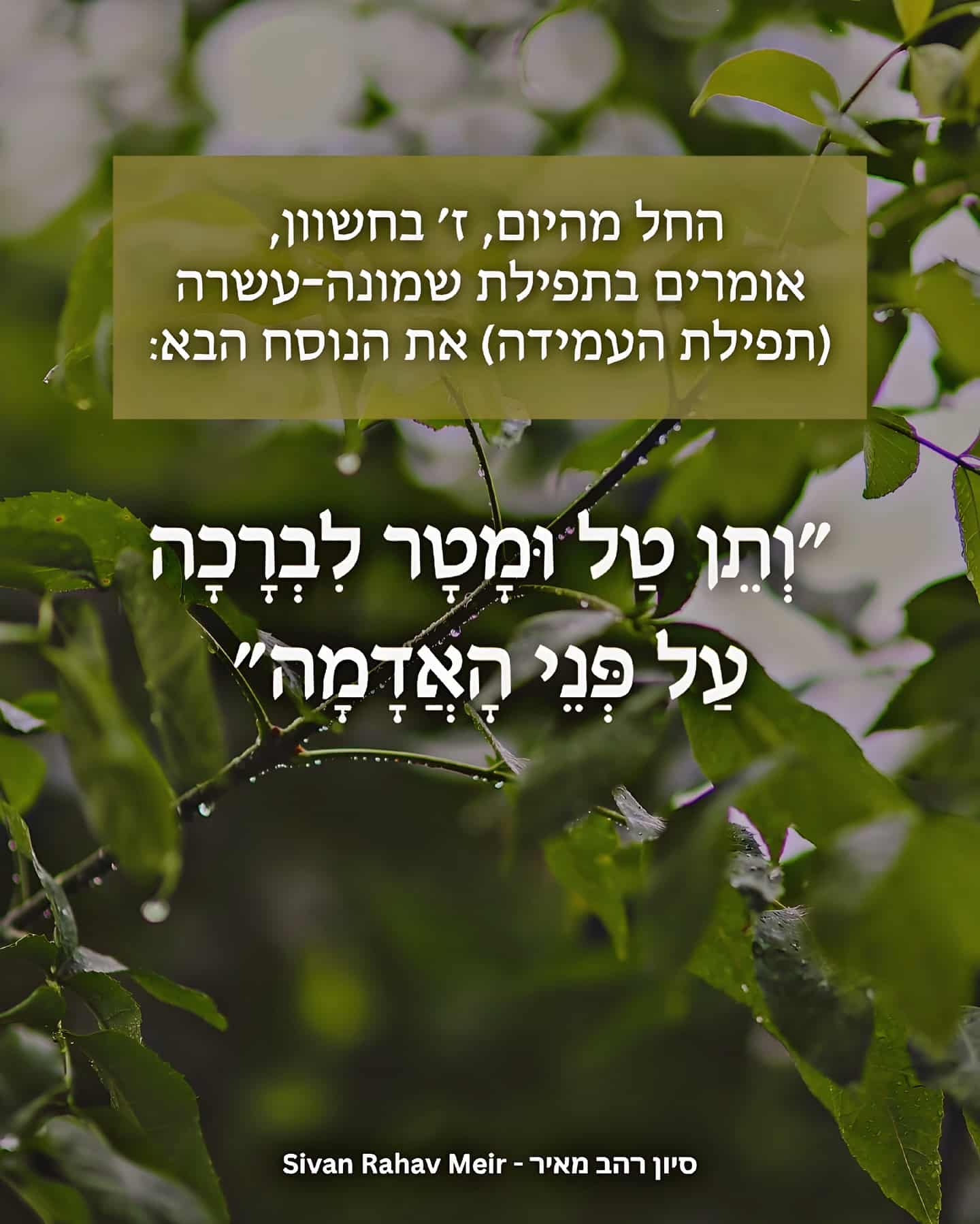 תן טל ומטר לברכה