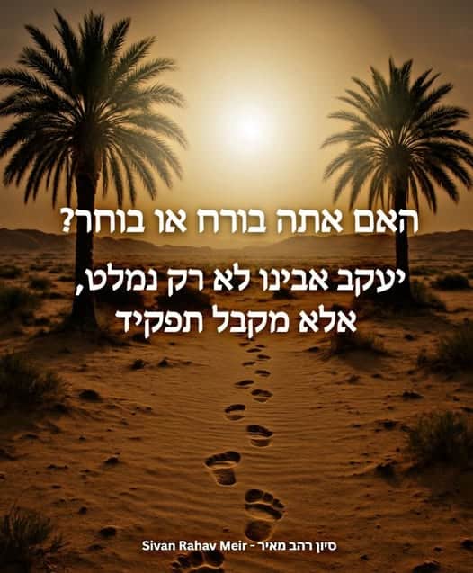 אתה בורח או בוחר