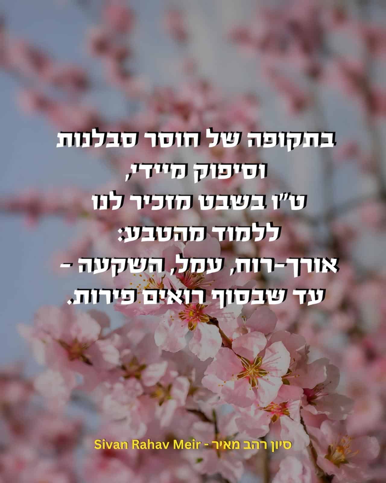 טו בשבט מזכיר לנו ללמוד מהטבע