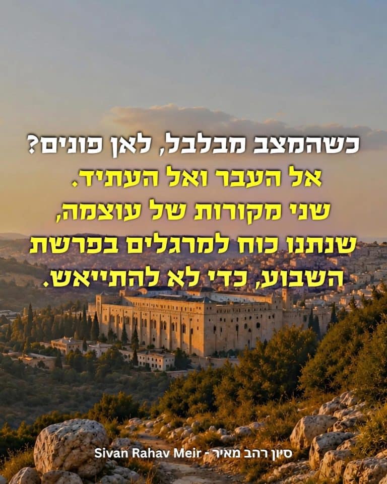 כשהמצב מבלבל לאן פונים