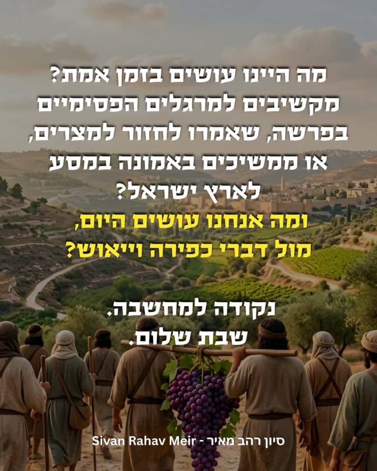 מה היינו עושים בזמן אמת?