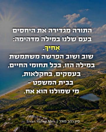 אחיך