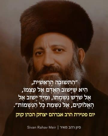 התשובה הראשית