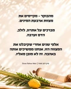 מהבוקר מקיימים את מצוות ארבעת המינים