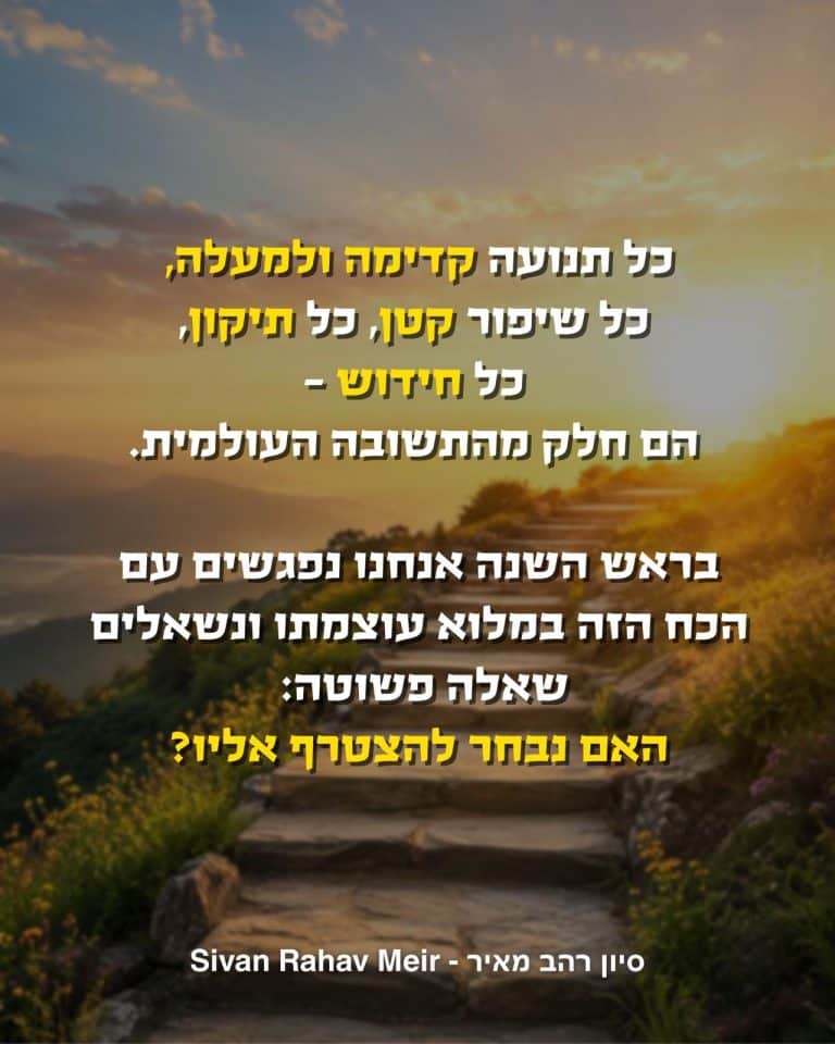 כל תנועה קדימה ולמעלה