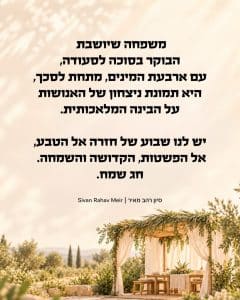 האטה מכוונת