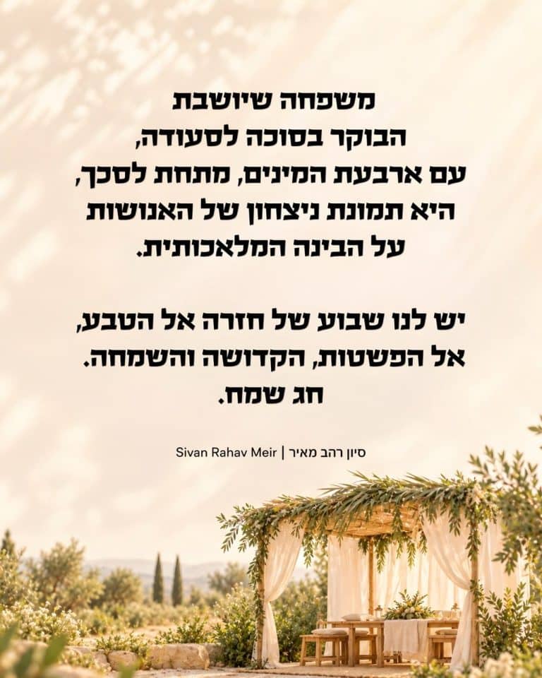 האטה מכוונת